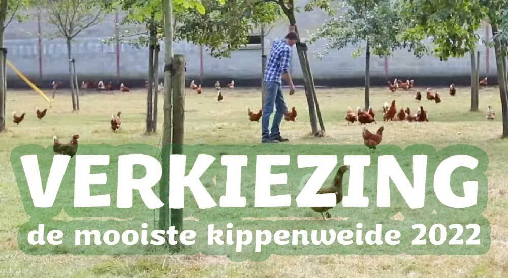 Kippenverkiezing