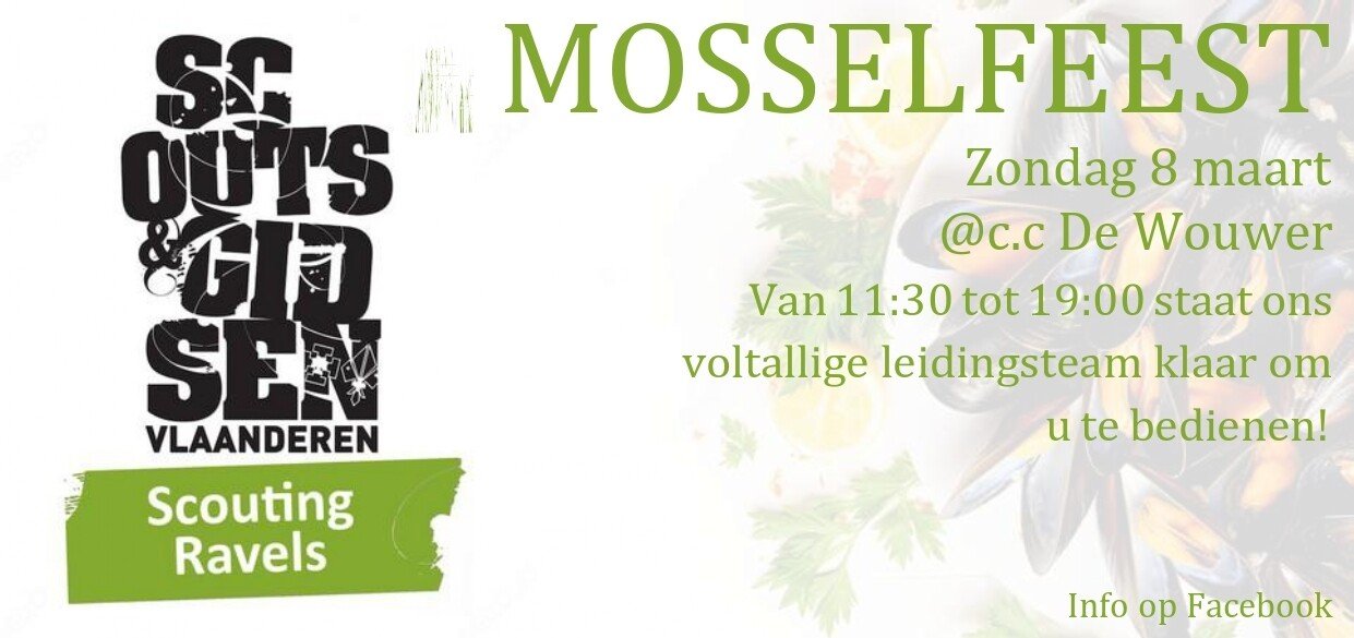 mosselfeest scouting 2026