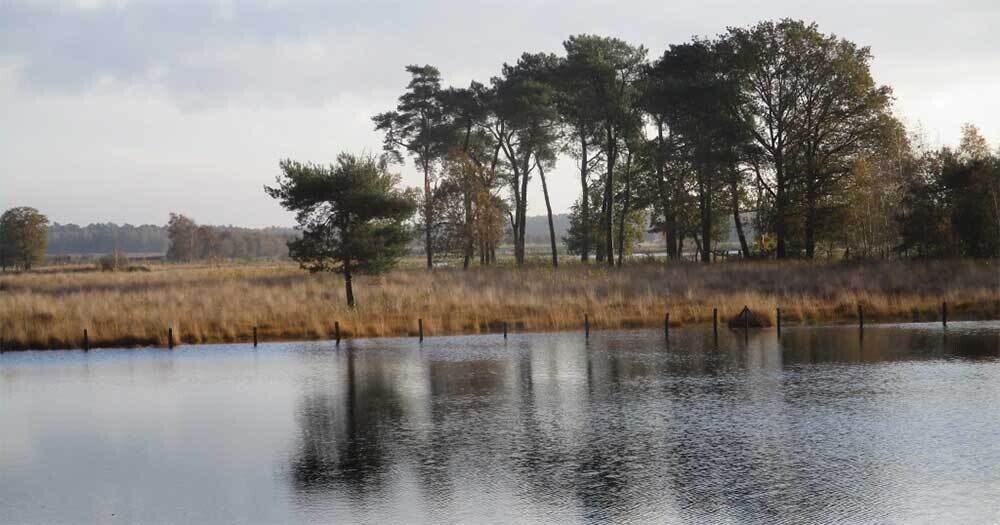17e Elfenwandeling ven Grote Klotteraard