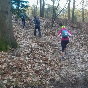 op naar de Dunse bergen