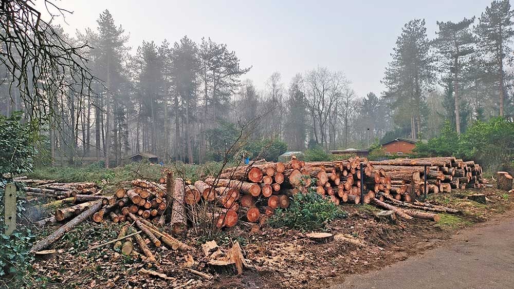 ontbossing leiheide1