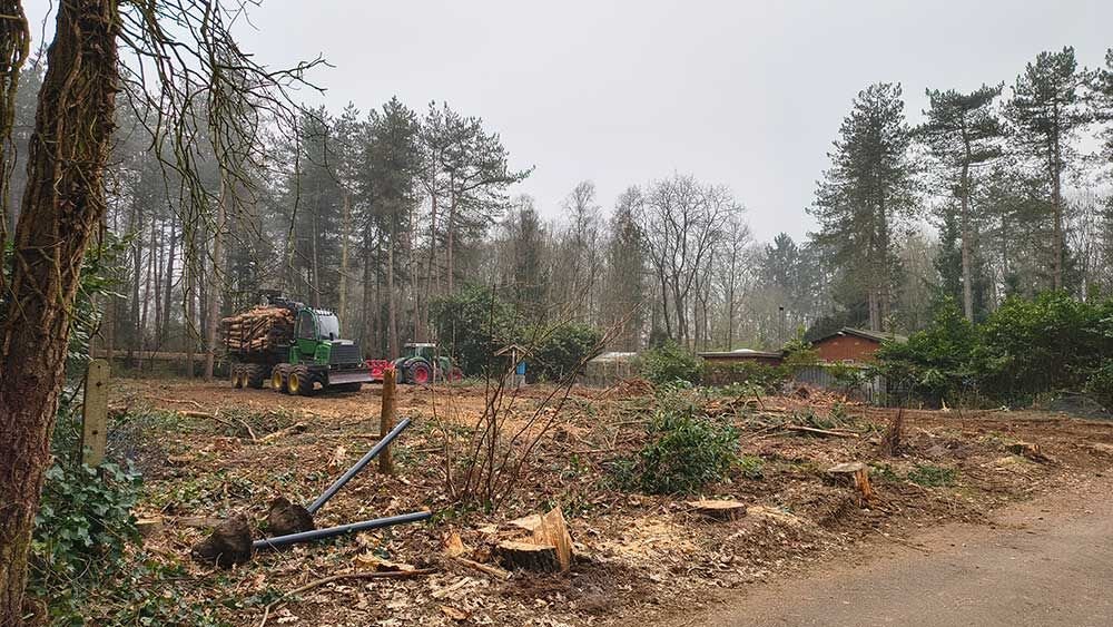 ontbossing leiheide2