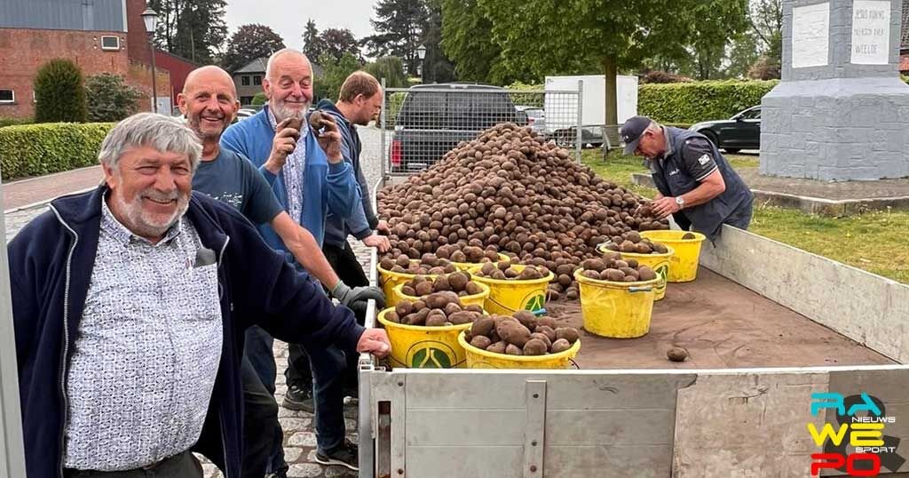 chasse patate1