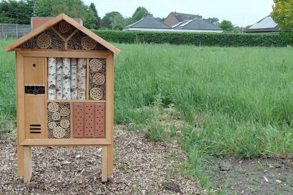 WS insectenhotel