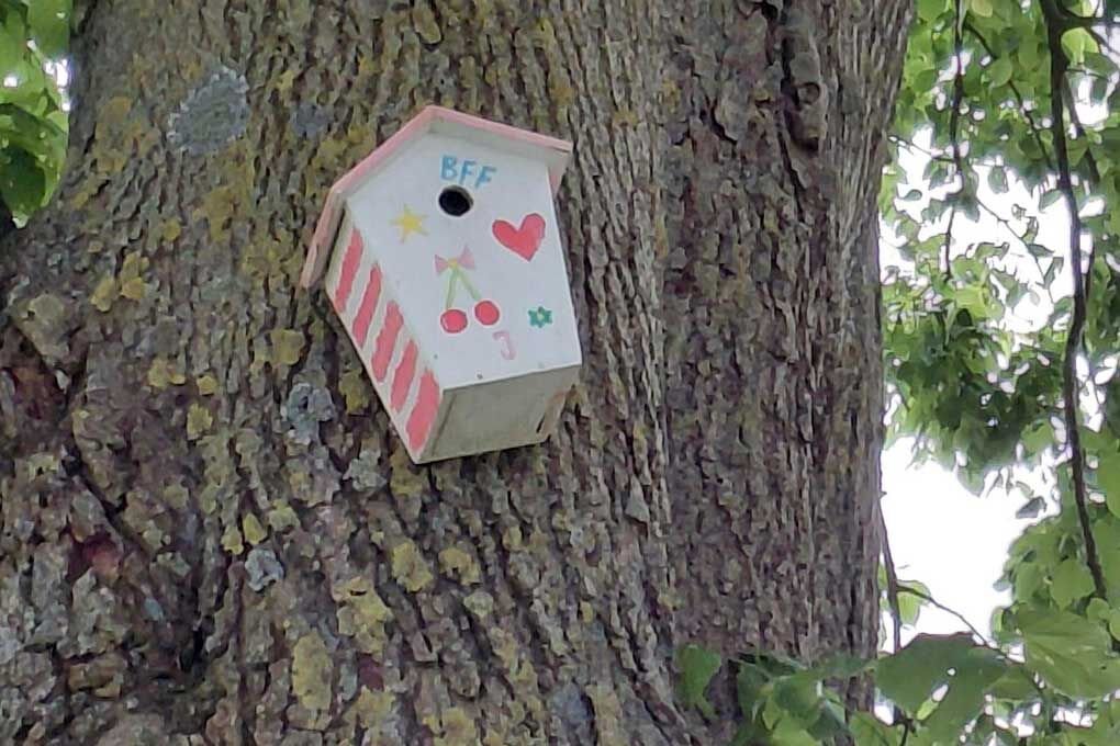 WS nestkastje