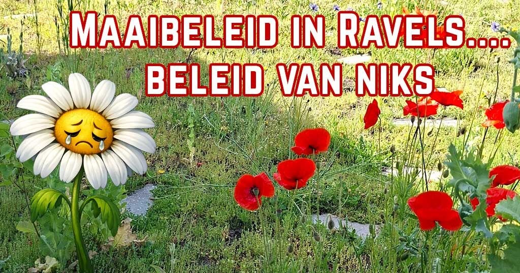 beleid van niks