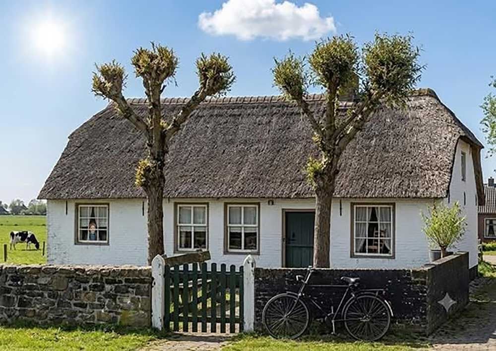 boerderij5