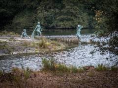 11 11_11_Wandeling_2015_2