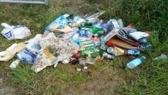 litter1