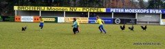 KFC -_KSK_-_hanen_op_veld
