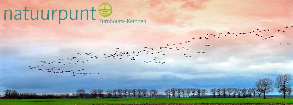 vogeltrek