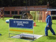 trouwe waker1