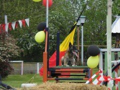 trouwe waker2
