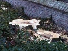 IMG 1944