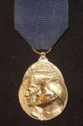 vrijwillgersmedaille