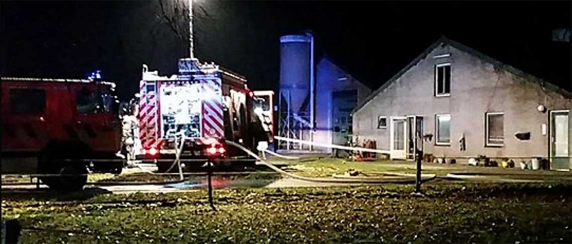 brand hulsel