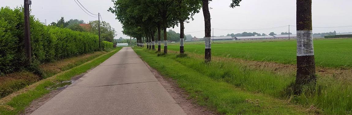 processierupsbestrijding