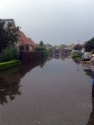 overlaar poppel