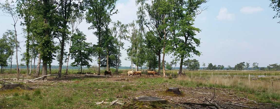 natuurpunt