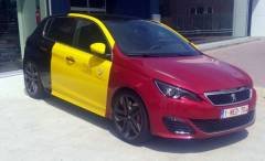 Peugeot 308_EK