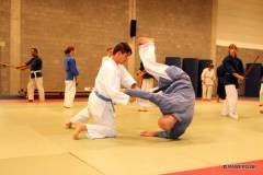 IMG 6176