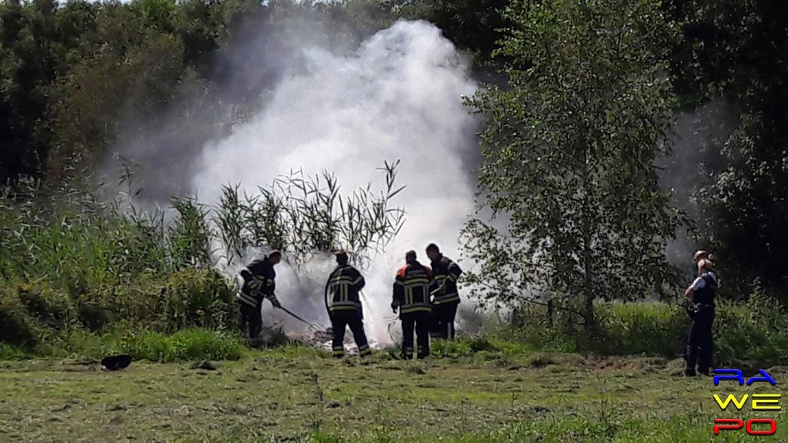 grasbrand poppel2