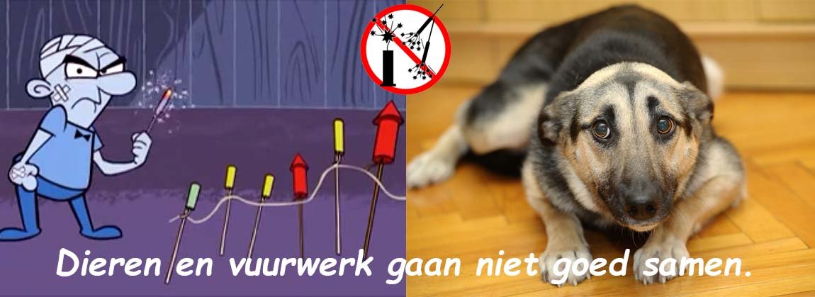 dieren vuurwerk