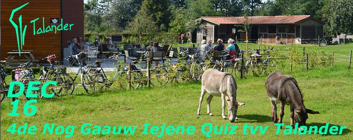 quiz tvv talander