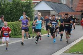 IMG 1506