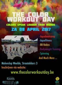 color workout