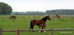 IMG 5057