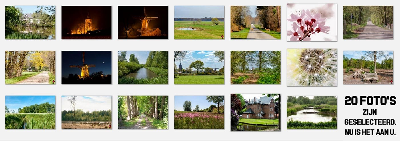 frontartikel lente