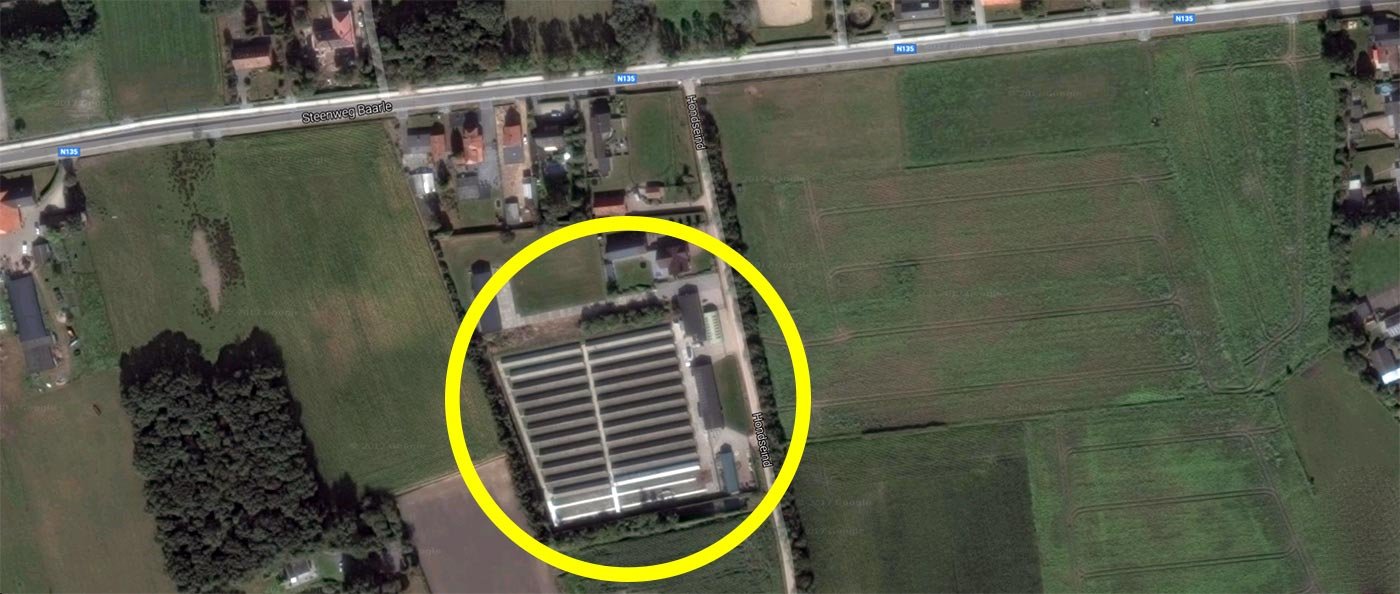 pelsenkweker