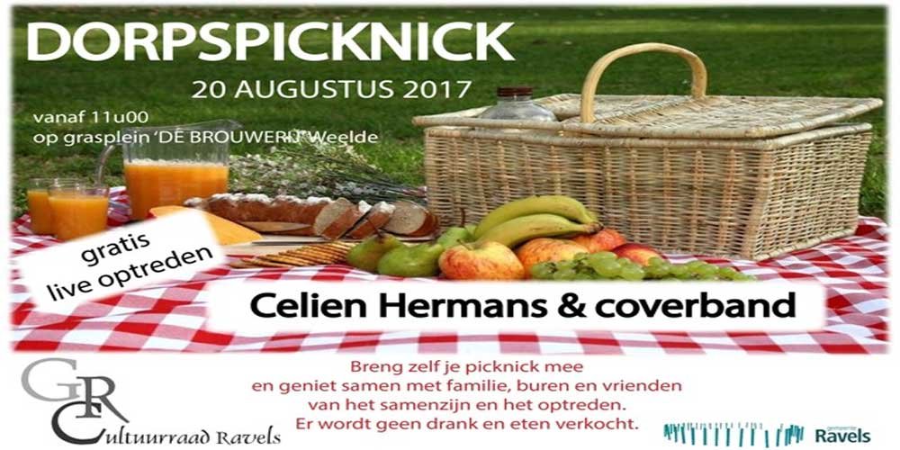 dorpspicknick2017