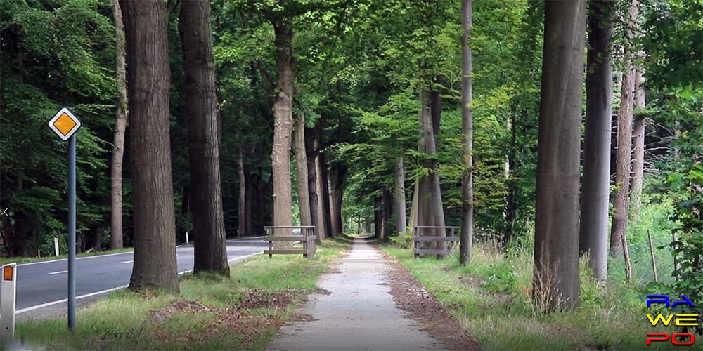 ongeval arendonkseweg3