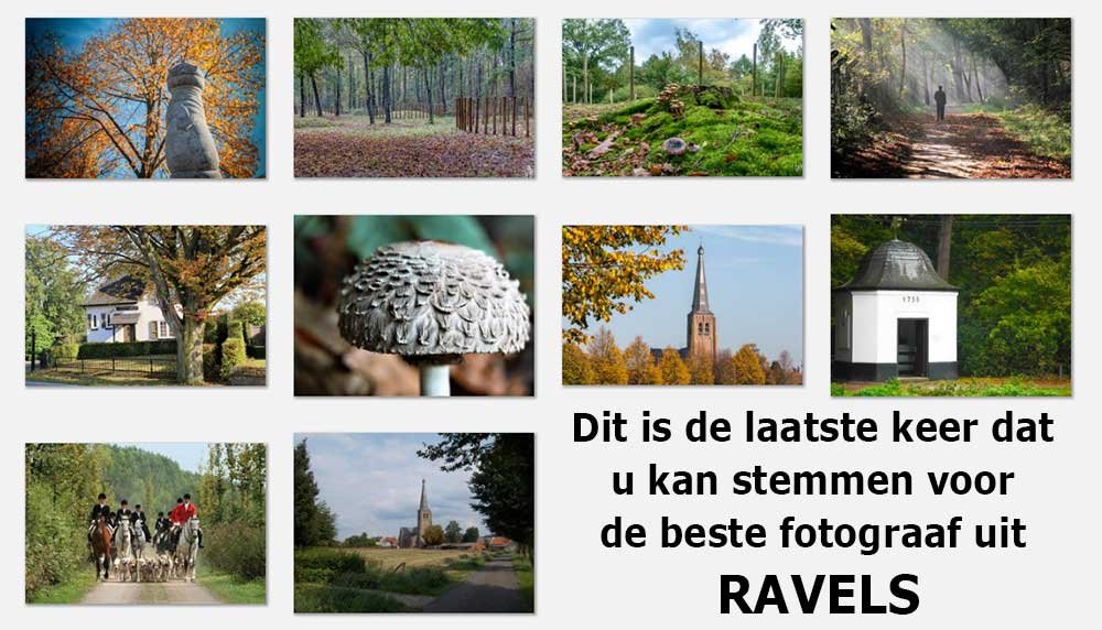 FOTOWEDSTRIJD HERFST