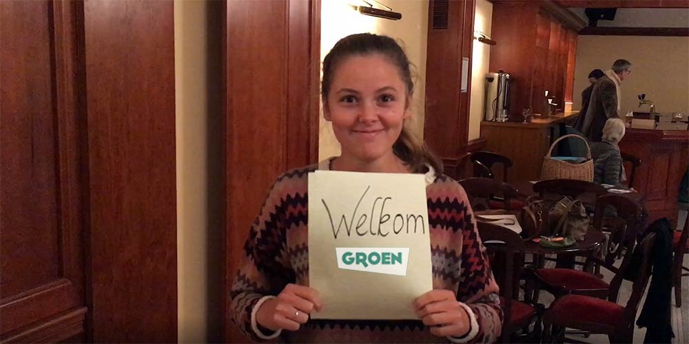 groenegem web