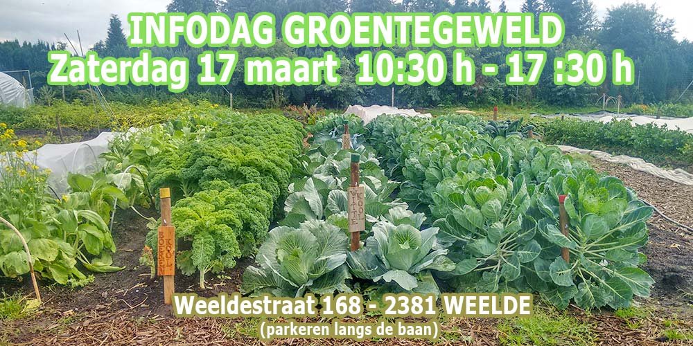 groentegeweld