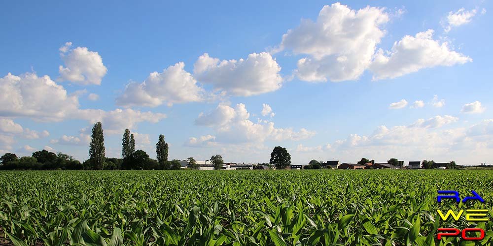 doolhof2