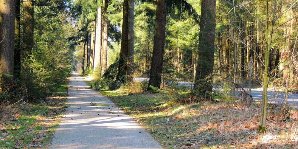 fiets wandeltrips miekepap1
