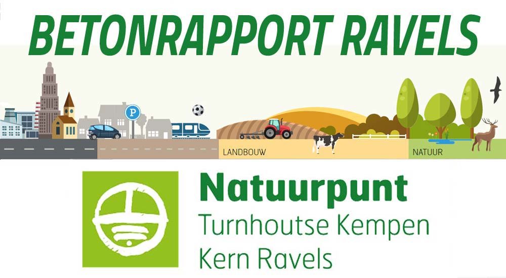 Betonrapport RavelsX