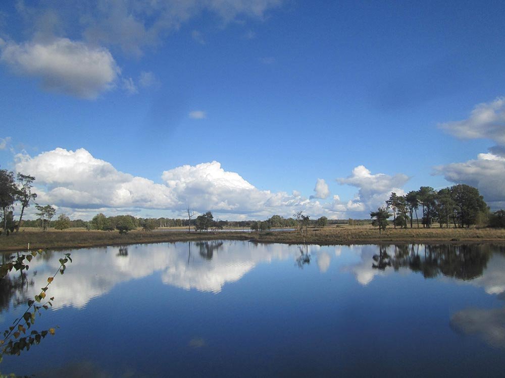 20181027 Elfenwandeling2018 002