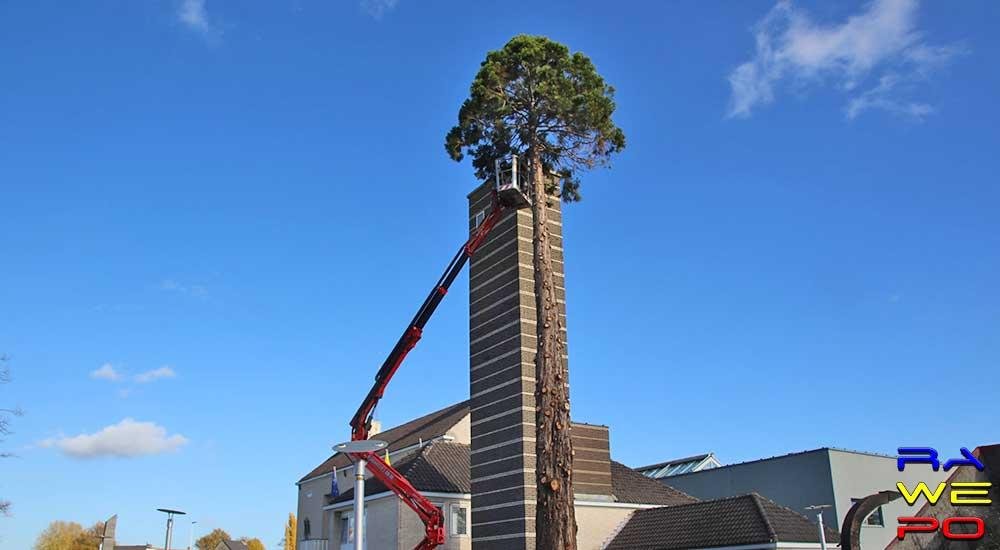  XL 20181108 Verwijdering Mammoetboom Gemeentehuis 0022