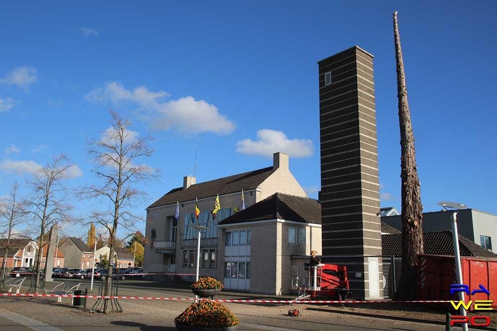  XL 20181108 Verwijdering Mammoetboom Gemeentehuis 0025