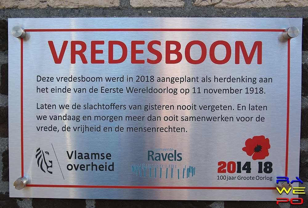 20181108 Verwijdering Mammoetboom Gemeentehuis 0037