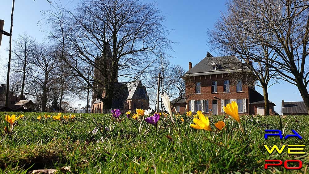 krokus kerk1