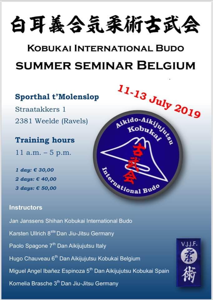 seminar aikijujutsu2019