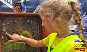 PIC 20190614 141054434