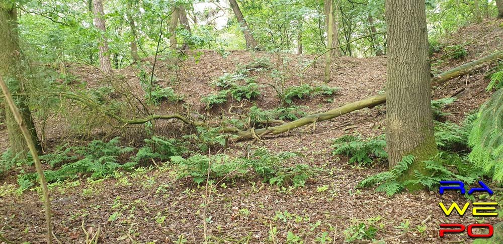 hoogeindsebergen1