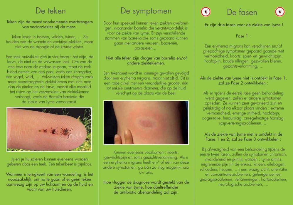 Flyers Néerlandais Verso OK